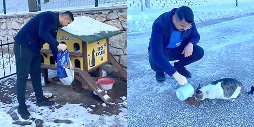 Amasya Belediyesi Sokak Hayvanlarını Unutmadı  Başkan Sevindi: “Bir Kap Mama, Bir Cana Umut”