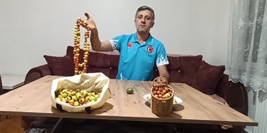 Amasya’da Doğanın Sunduğu Şifa: Alıç