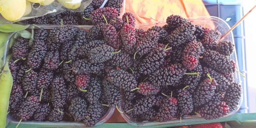 Amasya’da Karadut Tezgahlarda