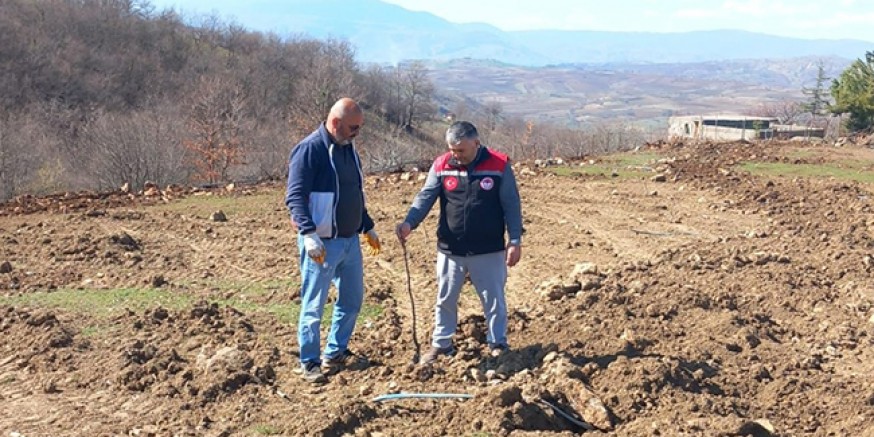 Amasya’da Sertifikalı Fidan Kullanım Desteği Denetimleri Yapıldı