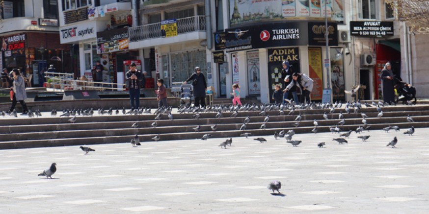 Amasya’da Vatandaşlar Besliyor, Güvercinler Toplanıyor