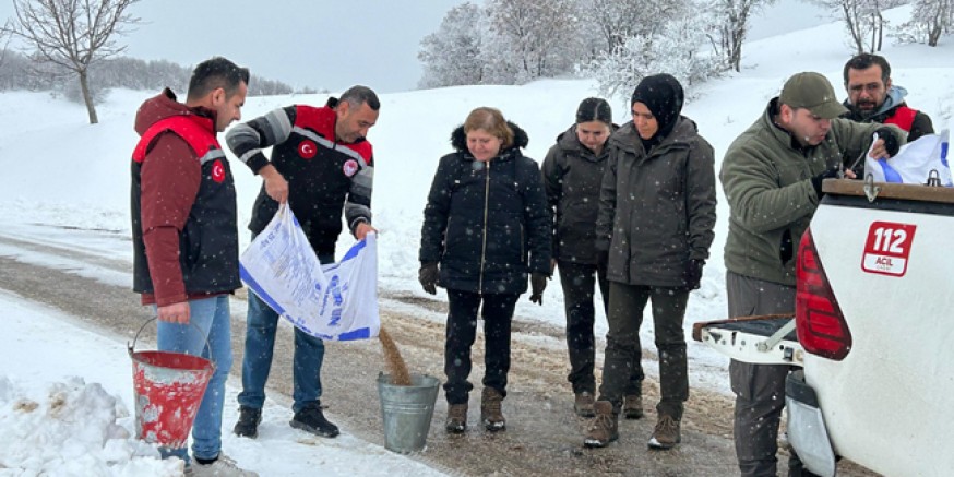 Amasya’da Yaban Hayatını Desteklemek İçin Doğaya Yem Bırakıldı