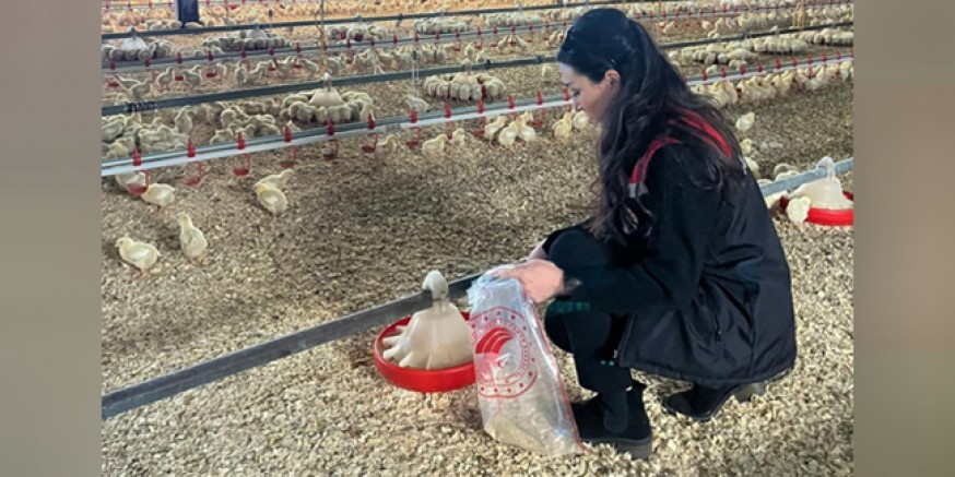 Amasya’da Yem Üretim ve Satış İşletmelerine Denetim