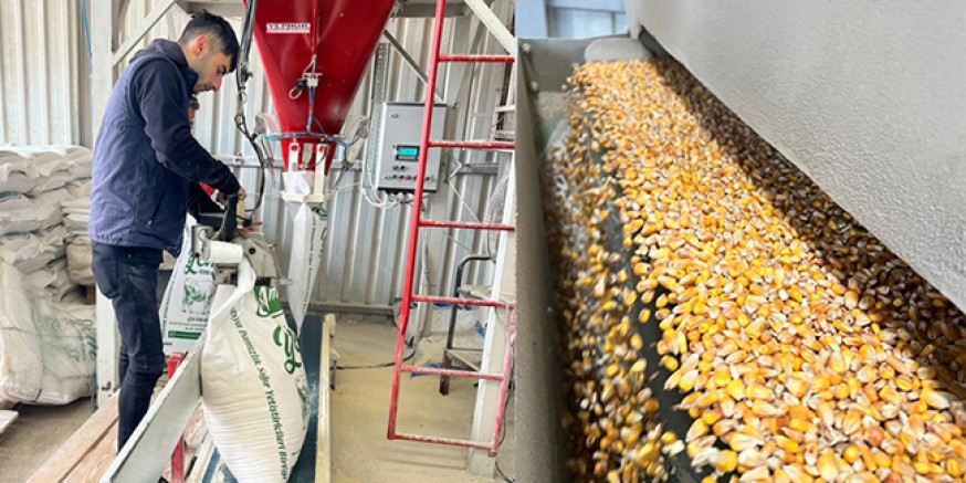 Amasya DSYB’den Üreticiye Modern Yem Desteği