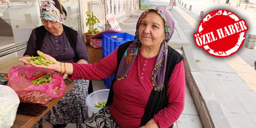 Amasya'nın Tescilli Bamyası Kış Sofraları İçin Hazırlanıyor