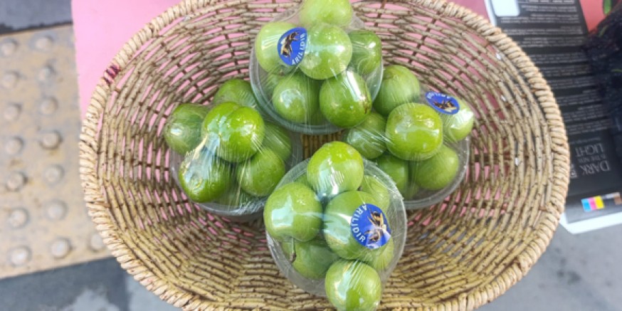 Bahar Geldi, Erik Cep Yaktı