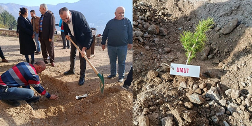 CHP Amasya İl Başkanı Küp, Gençlerle Birlikte Fidan Dikti