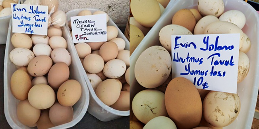 “Evin Yolunu Unutan”dan Sonra “Mısmıl Gezen” Geldi