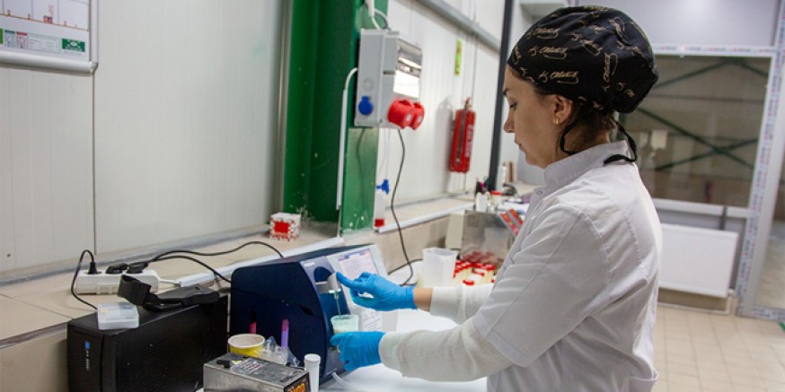 Günlük 200 Ton Süt İçin Yeni Merkez Kuruldu