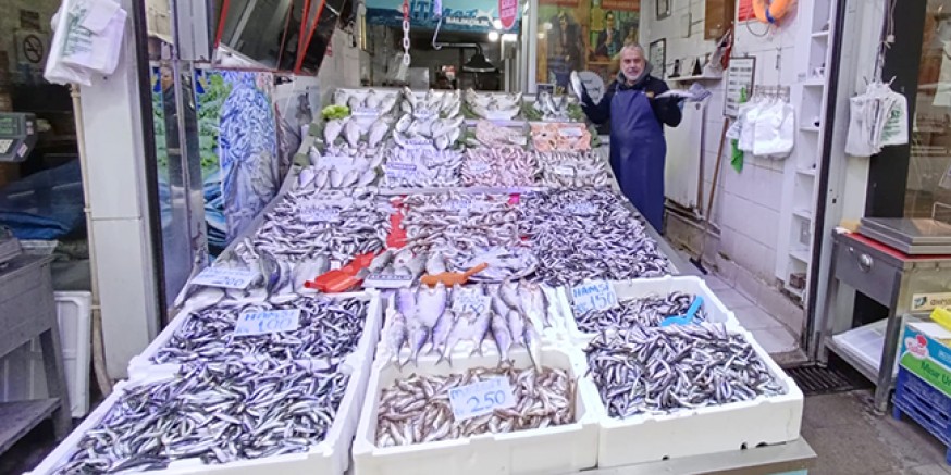 Palamut Azaldı, Hamsi Tezgâhlara Hakim Oldu