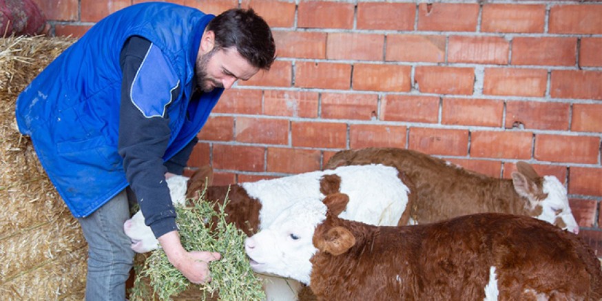 Proje Desteğiyle Hayvan Sayısını Artırdı