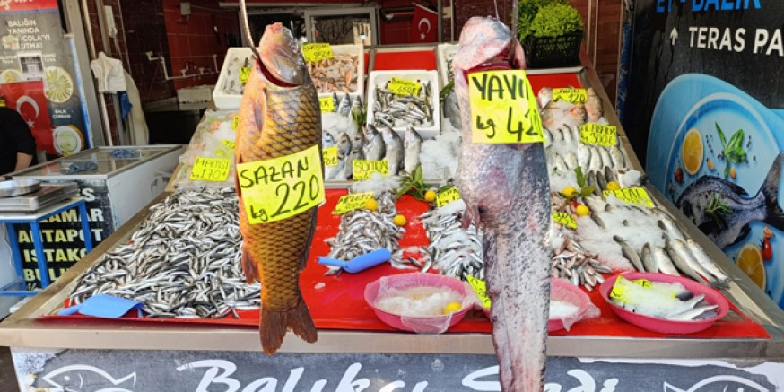 Sazan ve Yayın Balığı Tezgâhın Gözdesi Oldu