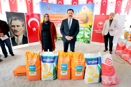 80 Bin Dekar Alana Ayçiçeği Ekilecek