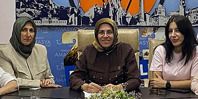 AK Parti Amasya İl Kadın  Kolları İstişare Toplantısı Yaptı