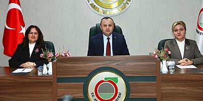 Amasya Belediyesi Mart Ayı Meclis Karar Özetleri