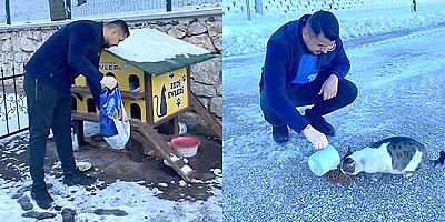 Amasya Belediyesi Sokak Hayvanlarını Unutmadı  Başkan Sevindi: “Bir Kap Mama, Bir Cana Umut”