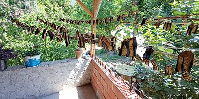 Amasya’da Balkonlar Lezzetlerle Renklendi