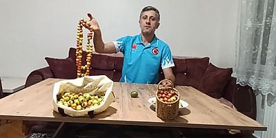 Amasya’da Doğanın Sunduğu Şifa: Alıç