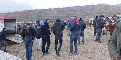 Amasya’da Hayvan Pazarı Denetimi Gerçekleştirildi