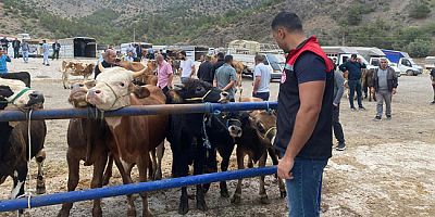Amasya’da Hayvan Pazarı Denetimleri Başladı