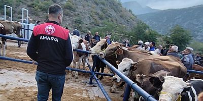Amasya’da Hayvan Pazarı Denetimleri Sıkılaştırıldı