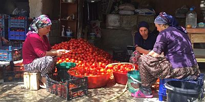Amasya’da Kadınlardan İmece Usulü Kış Hazırlığı