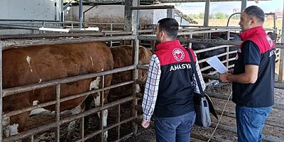 Amasya’da Mezbahanelerde Denetimler Sıkılaştırıldı
