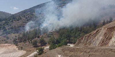 Amasya'da Orman Yangını Çıktı