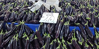 Amasya’da Patlıcan Fiyatlarında Sert Düşüş: 250 TL’den 40 TL’ye Geriledi