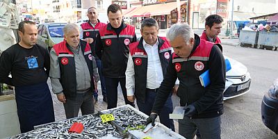 Amasya’da Perakende Balık Satış Noktalarına Denetim
