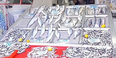 Amasya’da Ramazan Bereketi Balık Tezgahlarına Yansıdı