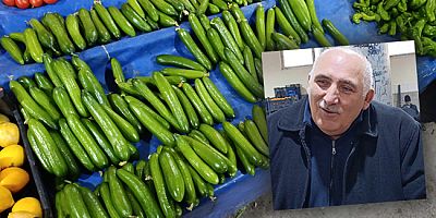 Amasya’da Salatalık 150 TL’ye Çıktı