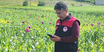 Amasya’da Tarım Arazileri Mercek Altında