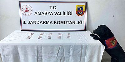 Amasya'da Uyuşturucu Operasyonu: 1 Gözaltı