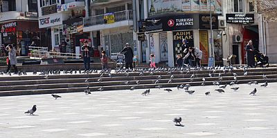 Amasya’da Vatandaşlar Besliyor, Güvercinler Toplanıyor