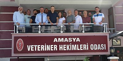 Amasya’da Veteriner  Hekimler İş Bıraktı