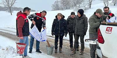 Amasya’da Yaban Hayatını Desteklemek İçin Doğaya Yem Bırakıldı