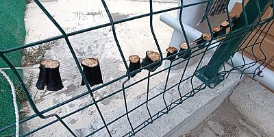 Amasya’da Yazın Bereketi Balkonlara Taşınıyor