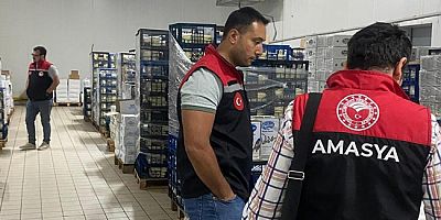 Amasya’dan Gürcistan’a İhraç  Edilecek Süt Ürünleri Denetlendi
