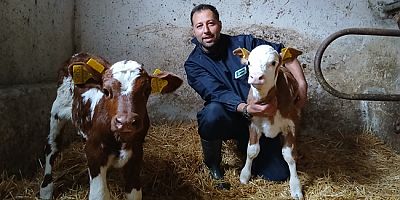 Amasya DSYB’de Suni Tohumlama Faaliyetleri Aralıksız Sürüyor