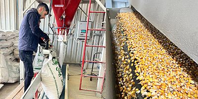 Amasya DSYB’den Üreticiye Modern Yem Desteği