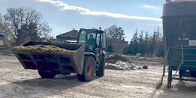 Amasya DSYB’den Üreticiye Verim ve Karlılık Odaklı TMR Hamlesi