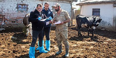 Amasya DSYB’den Üreticiye Yerinde Destek Ziyareti