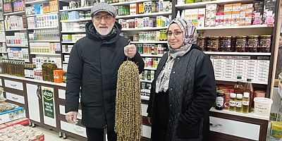 Amasya’nın Meşhur Bamyası Kış Sofralarının Vazgeçilmezi Oluyor