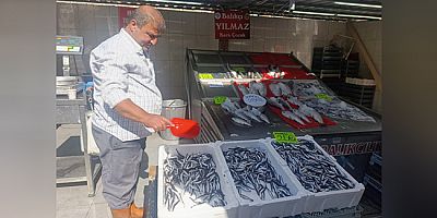Amasya Semt Pazarında Balık Tezgâhı Kuruldu