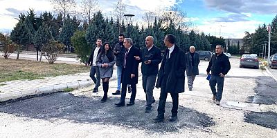 Amasya Üniversitesi Sülün Çiftliği Kuruyor