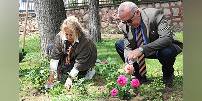 Amasya Üniversitesi Yüzlerce Gül Fidanı İle Renklendi