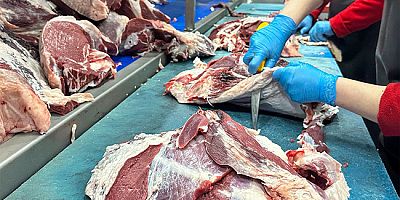 Amesia Et’te Üretim Süreci Güvenle Devam Ediyor