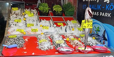 Av Yasağı Öncesi Son Balıklar Tezgâhlarda