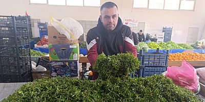Baharın Lezzeti Madımak Tezgahlarda